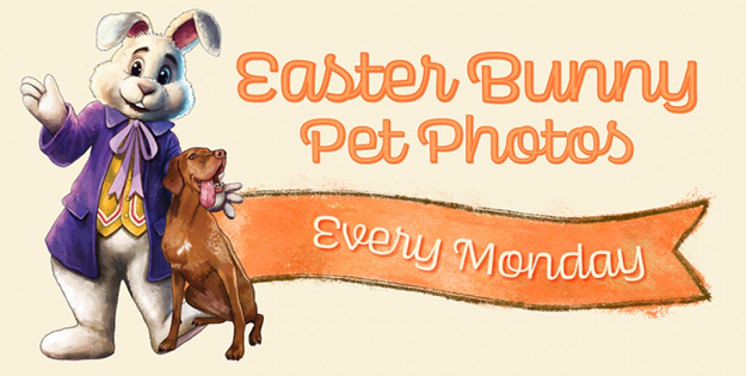 Pet Photos with Easter Bunny